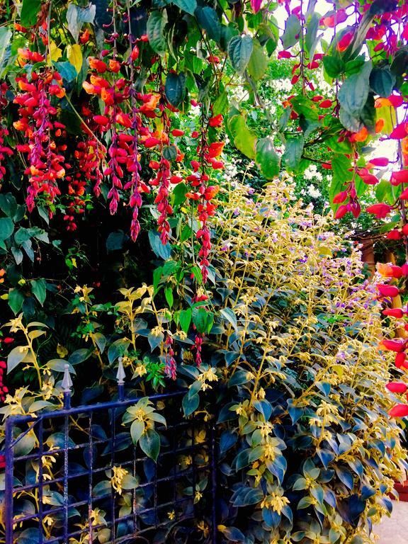 Heidi'S Home Nuwara Eliya Ngoại thất bức ảnh