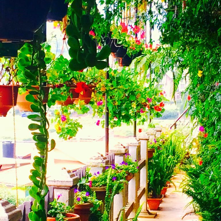 Heidi'S Home Nuwara Eliya Ngoại thất bức ảnh