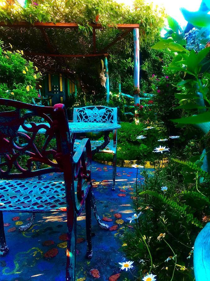 Heidi'S Home Nuwara Eliya Ngoại thất bức ảnh